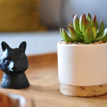 Loft Luis - Bikepark & Skilift - Apartment *